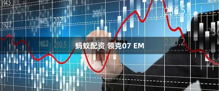 蚂蚁配资 领克07 EM